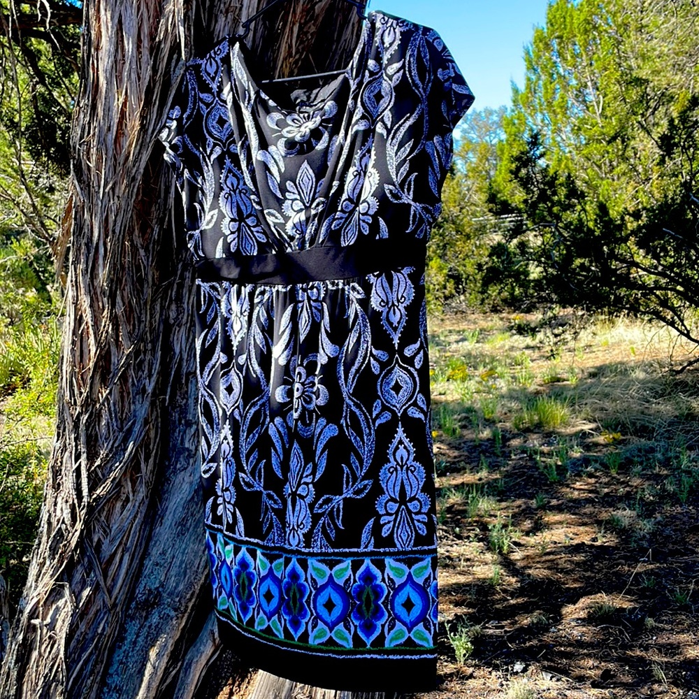 Dress. Enfocus Sudio. Size 16. Great Condition. Cap Sleeves.